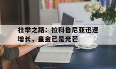 九游娱乐网站-包含壮举之路：拉科鲁尼亚迅速增长，皇金已是光芒的词条