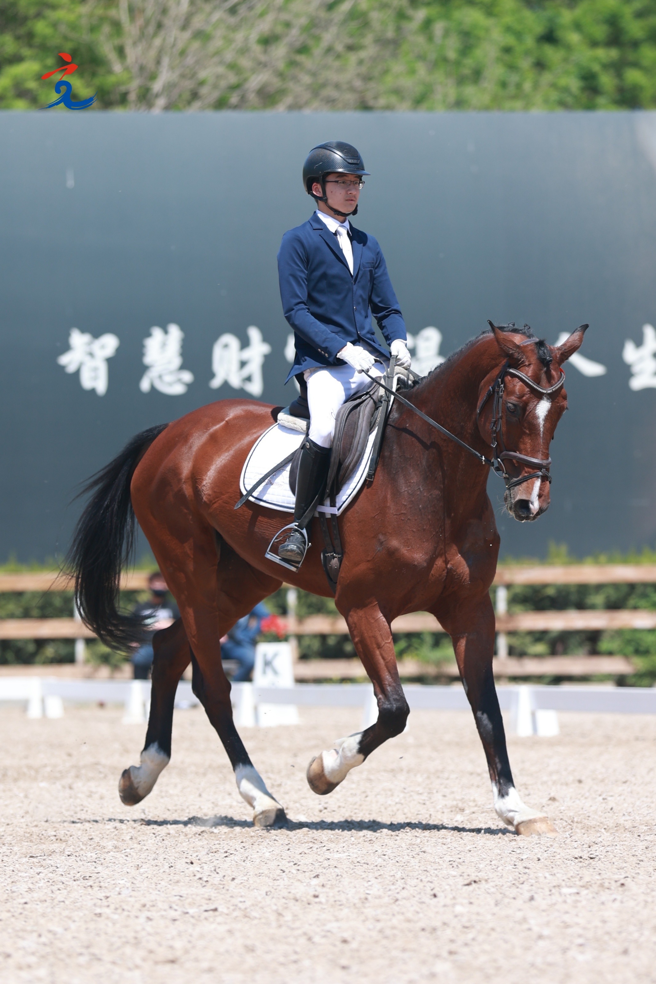 马术竞技：选手与骏马合作默契